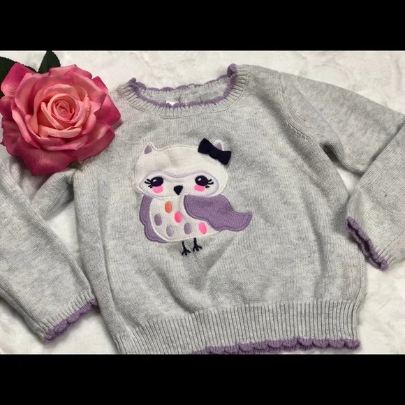 Gymboree Gray Owl Sweater size 2T - Picture 4 of 9